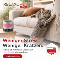 PRO Touch | Anti-Stress-System CAT