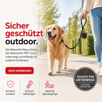 BAG | Transporttasche
